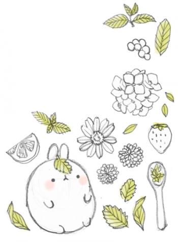 兔子壁纸图片 _ 第(7)张