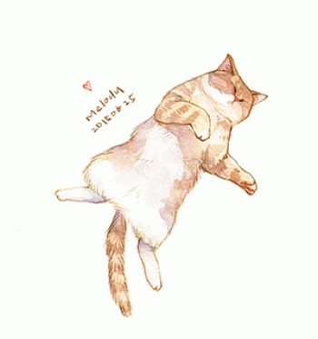 猫桌面图片 _ 第(1)张
