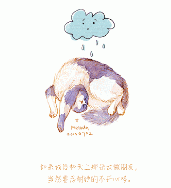 猫桌面图片 _ 第(5)张