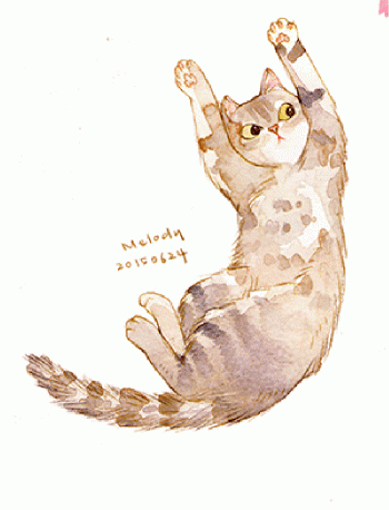 猫桌面图片 _ 第(6)张