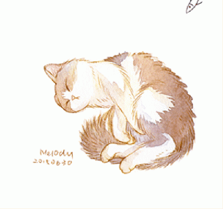 猫桌面图片 _ 第(7)张