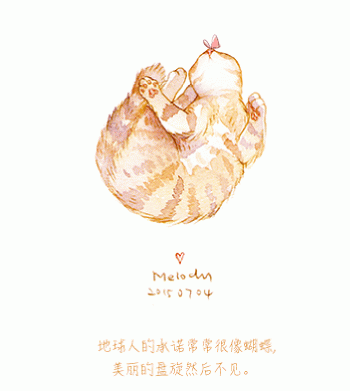 猫桌面图片 _ 第(8)张