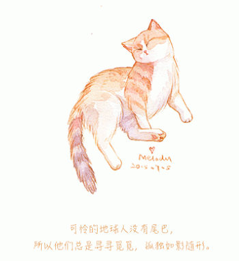 猫桌面图片 _ 第(9)张