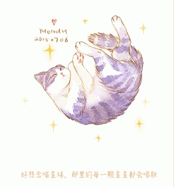 猫桌面图片 _ 第(10)张