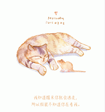 猫桌面图片 _ 第(11)张