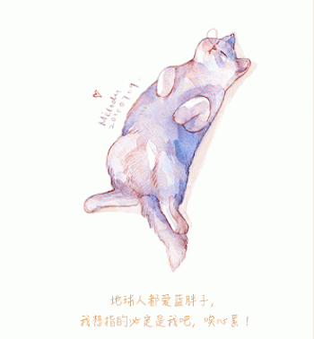 猫桌面图片 _ 第(12)张