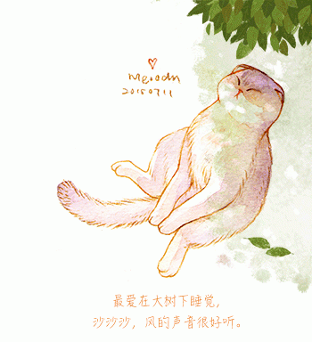 猫桌面图片 _ 第(13)张