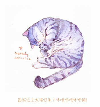 猫桌面图片 _ 第(14)张