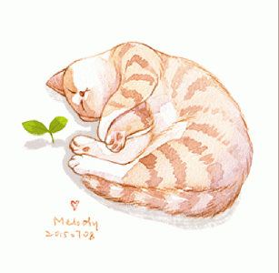 猫桌面图片 _ 第(15)张