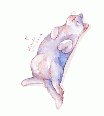 猫桌面图片 _ 第(16)张