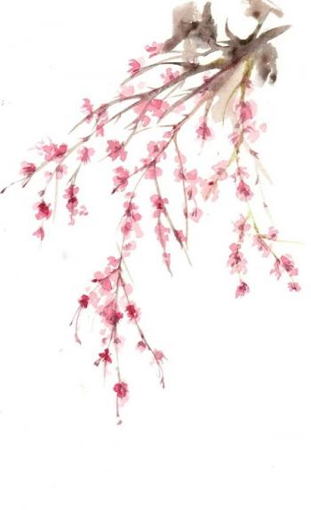 图片 _ 第(2)张