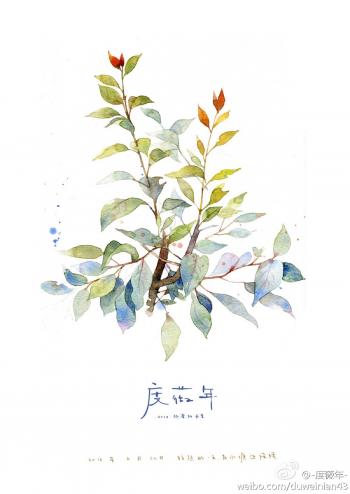 中国水彩图片 _ 第(9)张