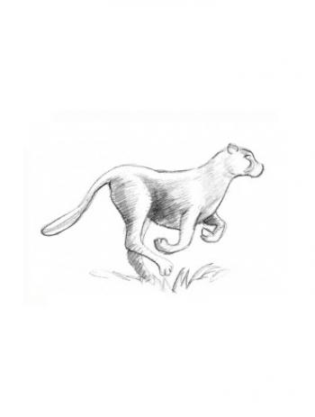 图片 _ 第(10)张