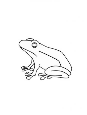 图片 _ 第(9)张