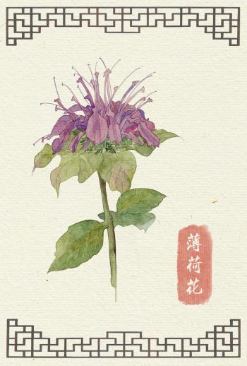 图片 _ 第(3)张