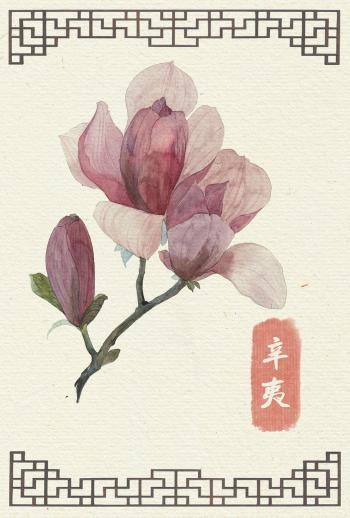 中国水彩图片 _ 第(21)张