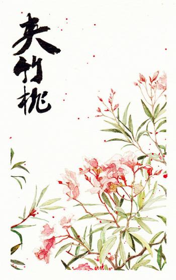 中国水彩图片 _ 第(25)张