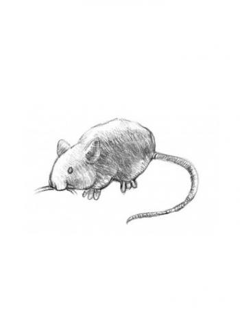 图片 _ 第(10)张