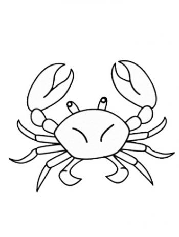 图片 _ 第(12)张