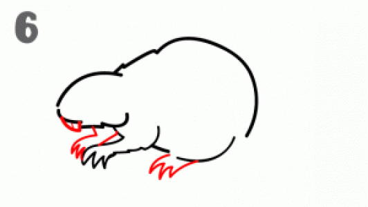 图片 _ 第(7)张