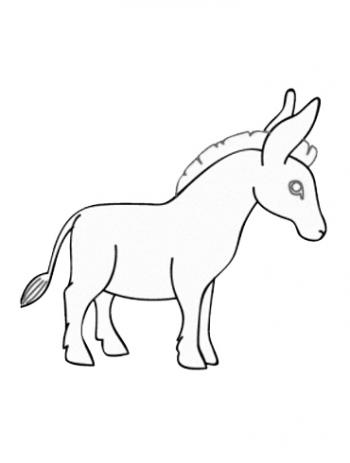 图片 _ 第(10)张