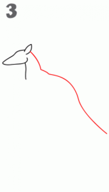 图片 _ 第(4)张