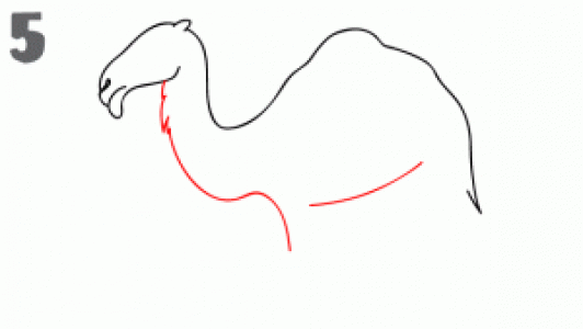 图片 _ 第(6)张
