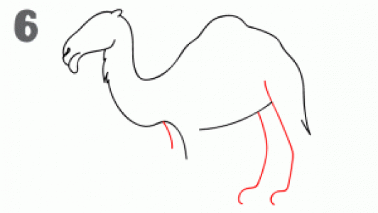 图片 _ 第(7)张