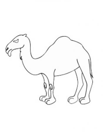 图片 _ 第(10)张