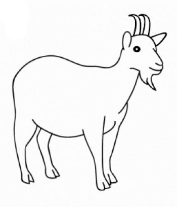 图片 _ 第(11)张