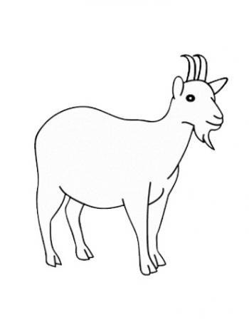图片 _ 第(12)张