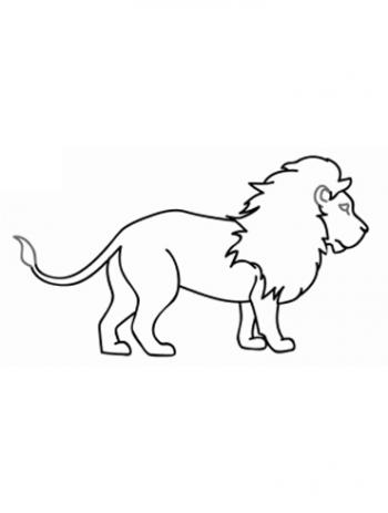 图片 _ 第(12)张