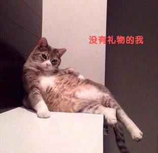 萌宠图片图片 _ 第(7)张