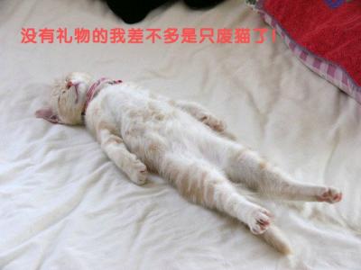 萌宠图片图片 _ 第(9)张