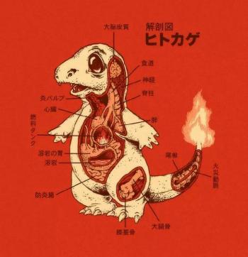 图片 _ 第(5)张