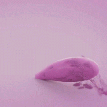 图片 _ 第(4)张