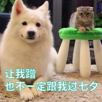 萌宠图片图片 _ 第(34)张