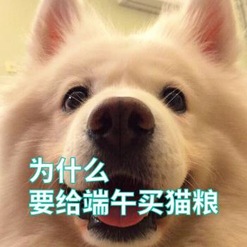 萌宠图片图片 _ 第(37)张