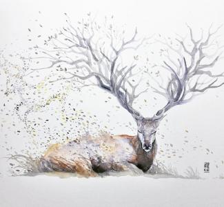 图片 _ 第(3)张