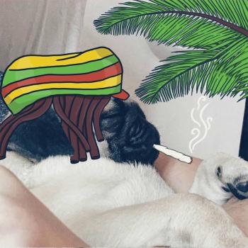 手机卡通图片 _ 第(21)张