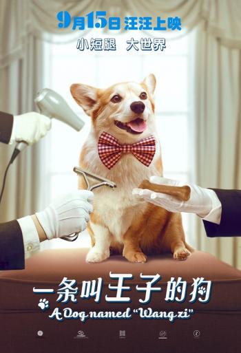 萌宠图片图片 _ 第(4)张