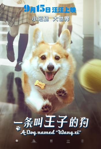 萌宠图片图片 _ 第(5)张