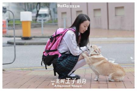 萌宠图片图片 _ 第(8)张