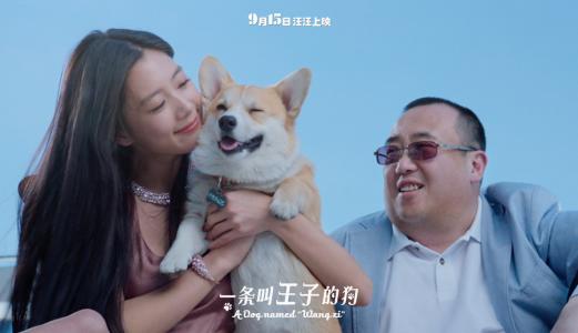 萌宠图片图片 _ 第(10)张