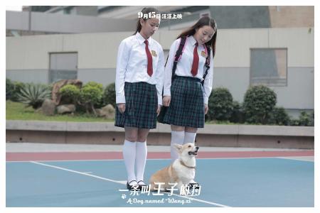 萌宠图片图片 _ 第(15)张