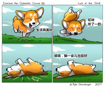 第0张