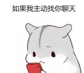 动物壁纸图片 _ 第(1)张