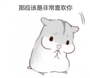 动物壁纸图片 _ 第(3)张