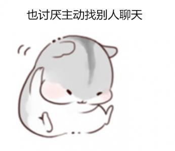 动物壁纸图片 _ 第(4)张