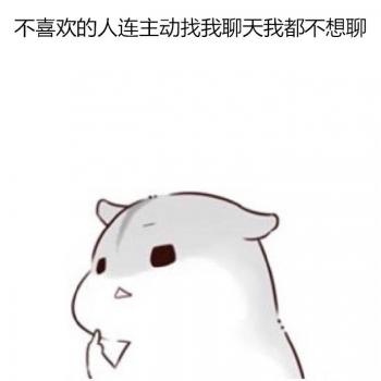 动物壁纸图片 _ 第(5)张